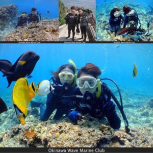 okinawa experience diving