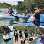 mangrove kayaking