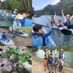 mangrove kayak