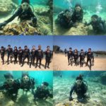 Experienxe diving in okinawa